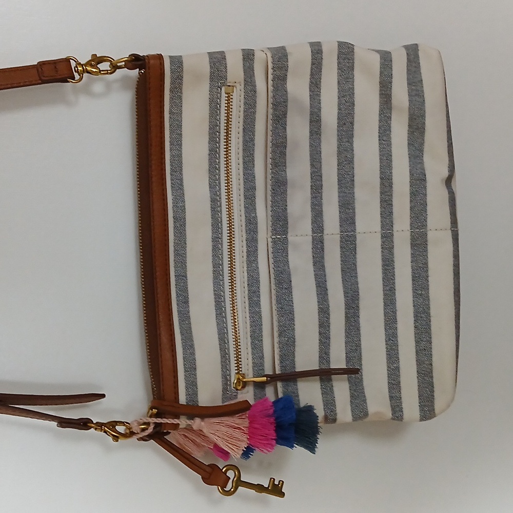 Fossil Striped Crossbody Bag